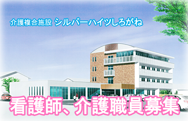 ����С��ϥ��Ĥ������ͥѡ�������