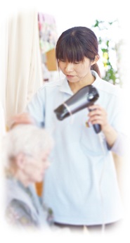 �ǥ������ӥ����᡼������2