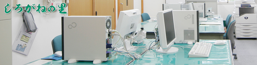 ���������̿����᡼������